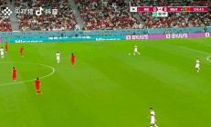 半岛体育官网app-包含奥地利中场因伤无缘半决赛，球队寻找替补的词条