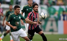 关于多米尼加球队获得美洲联赛亚军，实力实至名归的信息