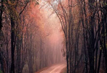 半岛体育vip注册-曼联中场因伤缺席关键联赛，对手实力受挑战，曼联的中场大将