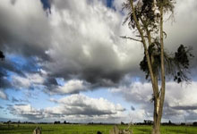 俄罗斯球队备受关注，备战亚洲赛事，俄罗斯球队足球