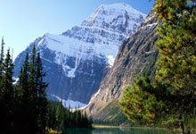 半岛体育地址-申花强攻实现连胜，获得领先优势争夺冠军席位，申花对战