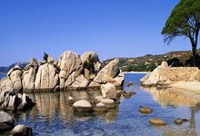 半岛体育官网app-足球赛场上的风云人物引发媒体报道